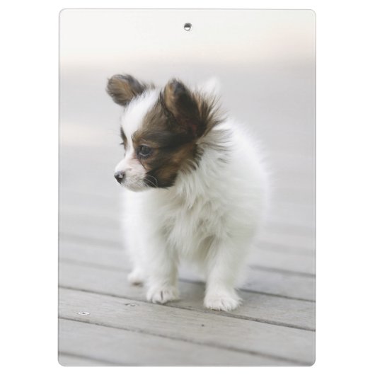 Papillon クリップボード (裏面)