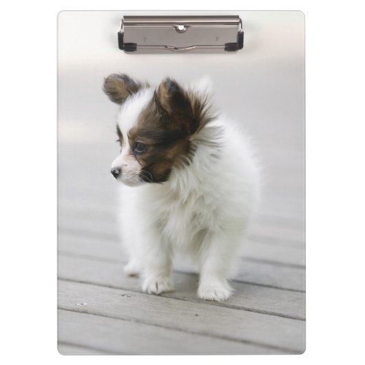 Papillon クリップボード (正面)