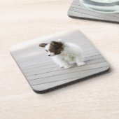 Papillon コースター (左側)