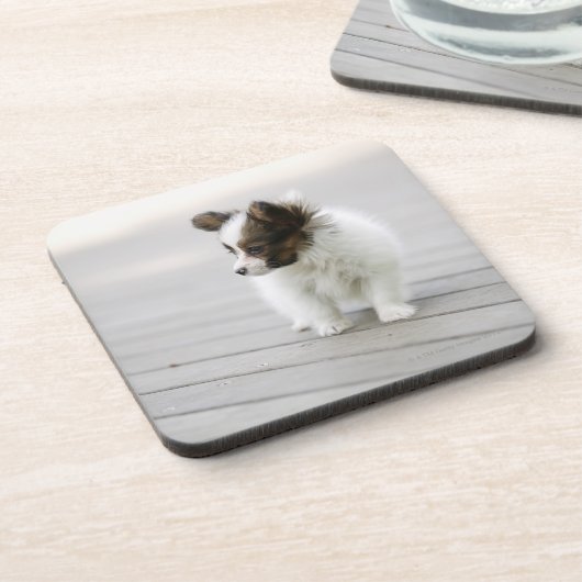 Papillon コースター (左側)