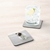 Papillon コースター (右側)