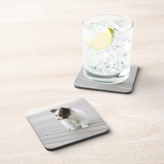 Papillon コースター (右側)