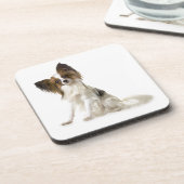 Papillon コースター (左側)