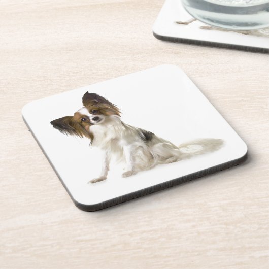 Papillon コースター (左側)