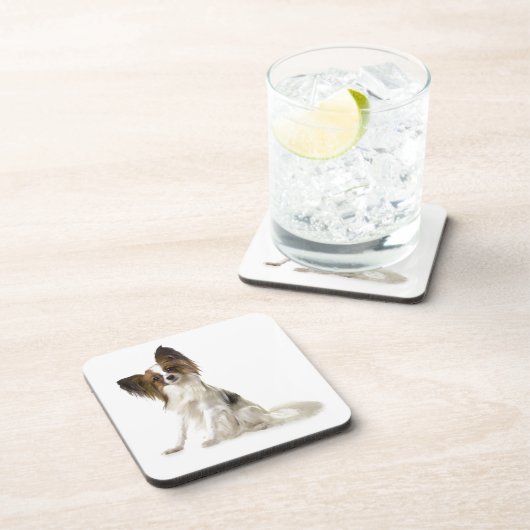 Papillon コースター (右側)