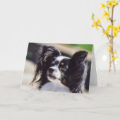 "Papillon"犬の写真の挨拶状 カード (黄色い花)