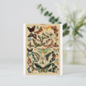 Papillon Butterfly Wings Vintage Postcard ポストカード (スタンド正面)