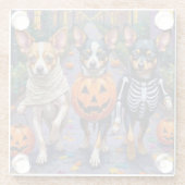 Papillon Dogs Trick-or-Treating Halloween Costumes ガラスコースター (裏面)
