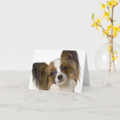 papillon.png カード (黄色い花)