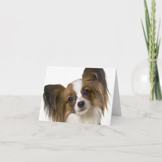 papillon.png カード (正面)