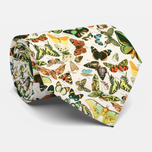Papillons ネクタイ (ロール)