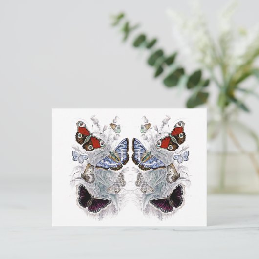 papillons ポストカード (スタンド正面)