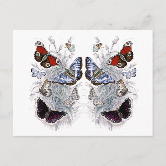 papillons ポストカード (正面)