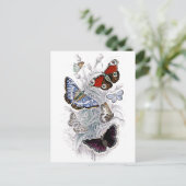 papillons ポストカード (スタンド正面)