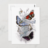 papillons ポストカード (正面/裏面)
