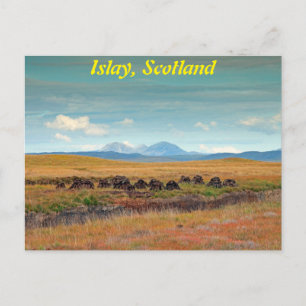 Paps of Jura from Islay, Scotland Postague ポストカード