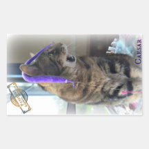 PARシーザーステッカー