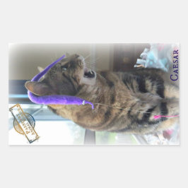 PARシーザーステッカー 長方形シール