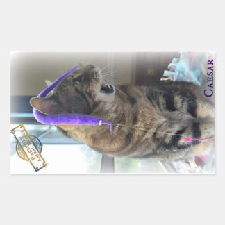 PARシーザーステッカー 長方形シール