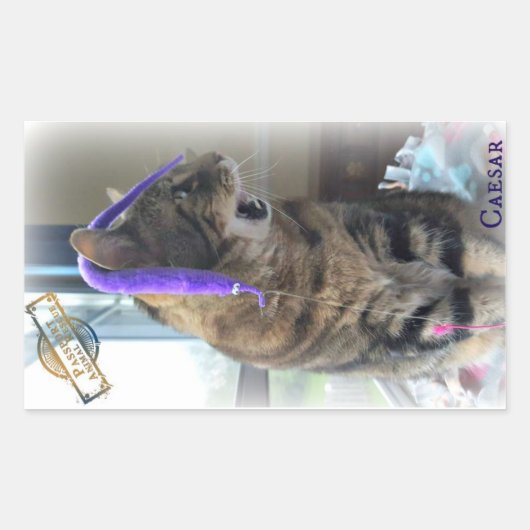 PARシーザーステッカー 長方形シール (正面)