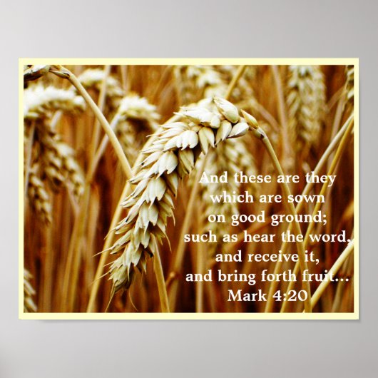 Parable of the Sower Poster ポスター (正面)