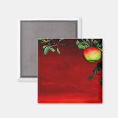 Paradiesapfel マグネット (正面/裏面)