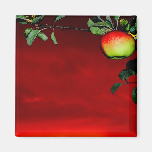 Paradiesapfel マグネット (正面)