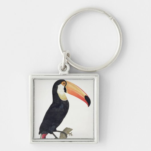 「Paradisの鳥の歴史からのToucan No.2、 キーホルダー (正面)