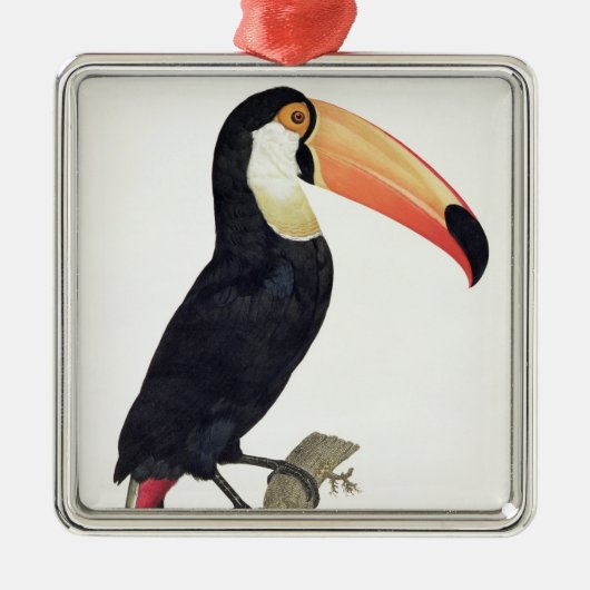 「Paradisの鳥の歴史からのToucan No.2、 メタルオーナメント (正面)