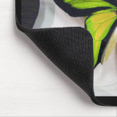 Paradise birdwing , Ornithoptera paradisea マウスパッド (コーナー)