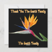 Paradise Dancer B Holiday Card シーズンカード (裏面)