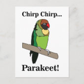 Parakeet Bird ポストカード (正面)