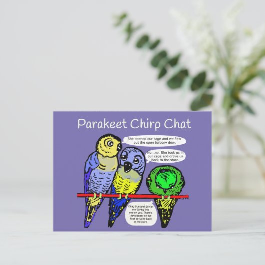 Parakeet Chirp and Talk is Cheep Postcard ポストカード (スタンド正面)