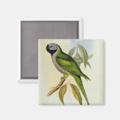 Parakeet: Palaeornis Derbianus, c.1850 マグネット (正面/裏面)
