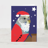 Parakeet Santa Clause Christmas Card カード (正面)