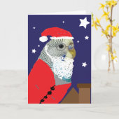 Parakeet Santa Clause Christmas Card カード (黄色い花)