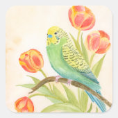 Parakeet with Tulips  スクエアシール (正面)