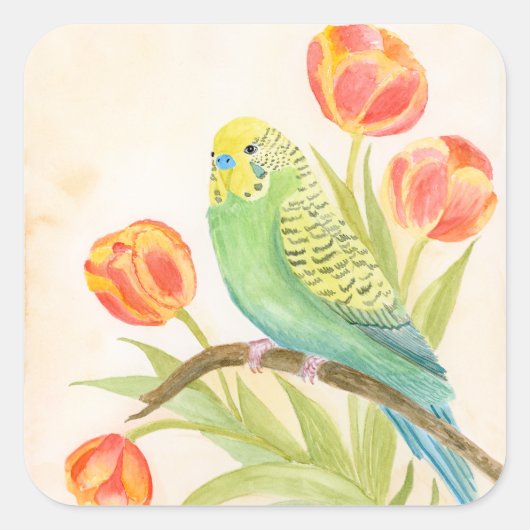 Parakeet with Tulips  スクエアシール (正面)