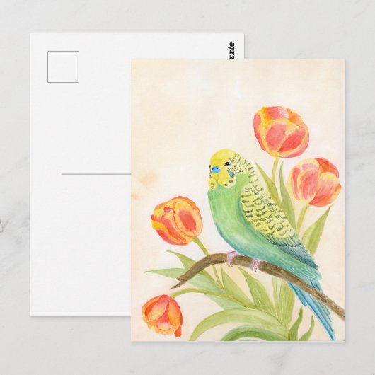 Parakeet with Tulips  ポストカード (正面/裏面)