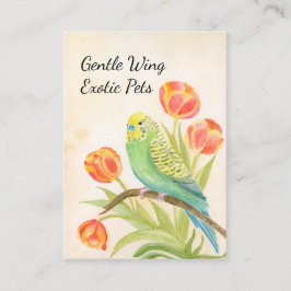 Parakeet with Tulips Exotic Pets 名刺