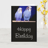Parakeets (Budgies)ハッピーバースデーグリーティングカード カード (黄色い花)
