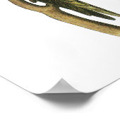 Paraket by John Audubon – ポスタープリント ポスター (角)