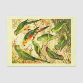 Parakets、Decopage 薄葉紙