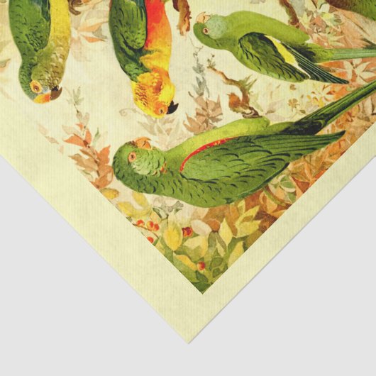 Parakets、Decopage 薄葉紙 (詳細)