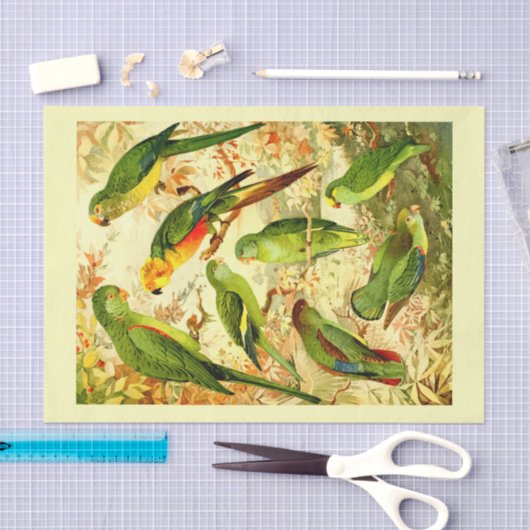 Parakets、Decopage 薄葉紙 (クラフト)