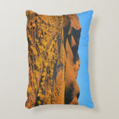 Paramillosの日没 アクセントクッション (正面(垂直))