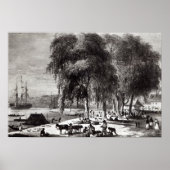 Paramribo（魚市場） ポスター (正面)