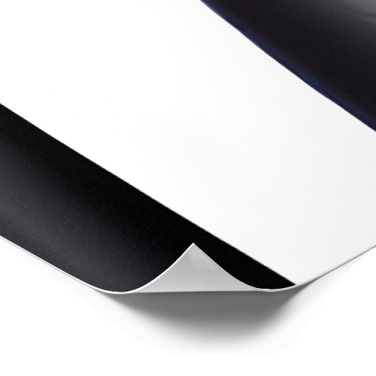 Paranoimia-oid ポスター (角)