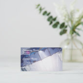 Parasailingの名刺のための帆 名刺 (スタンド正面)