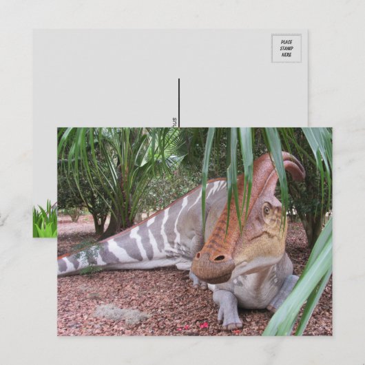 Parasaurolophus – 恐竜 – はがき (正面/裏面)